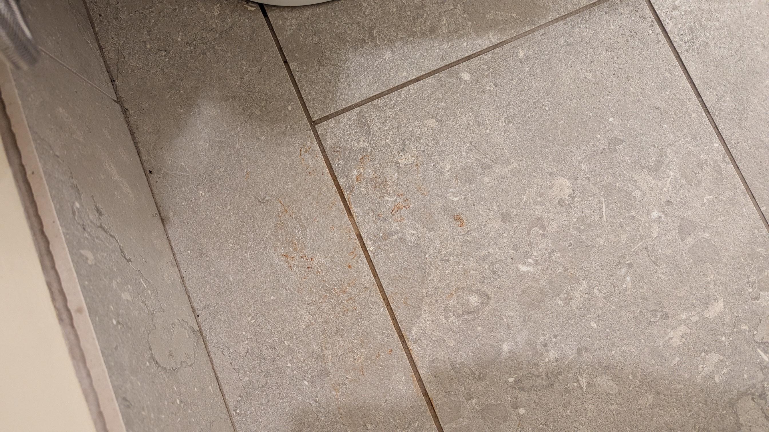 grout and staining around toilet