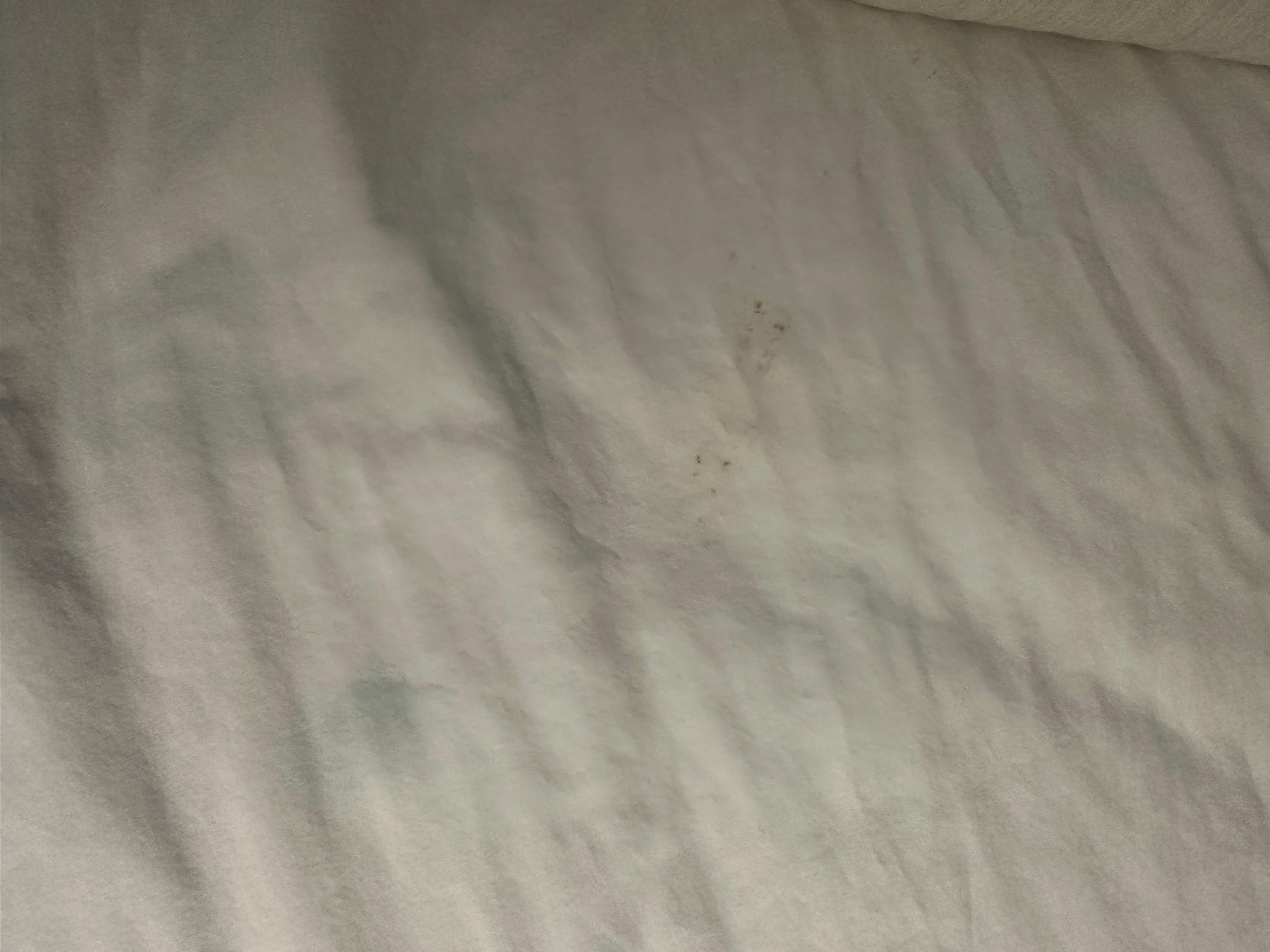Stained sheets 