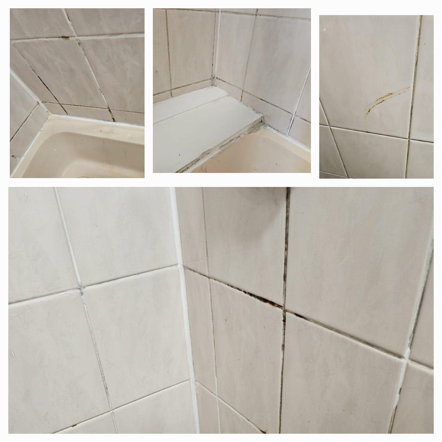 Mould in the bathroom