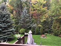 The magnificent garden backing onto trees with a lovely deck and a fire pit for night time fun
