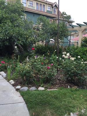 Side view, looking towards pool