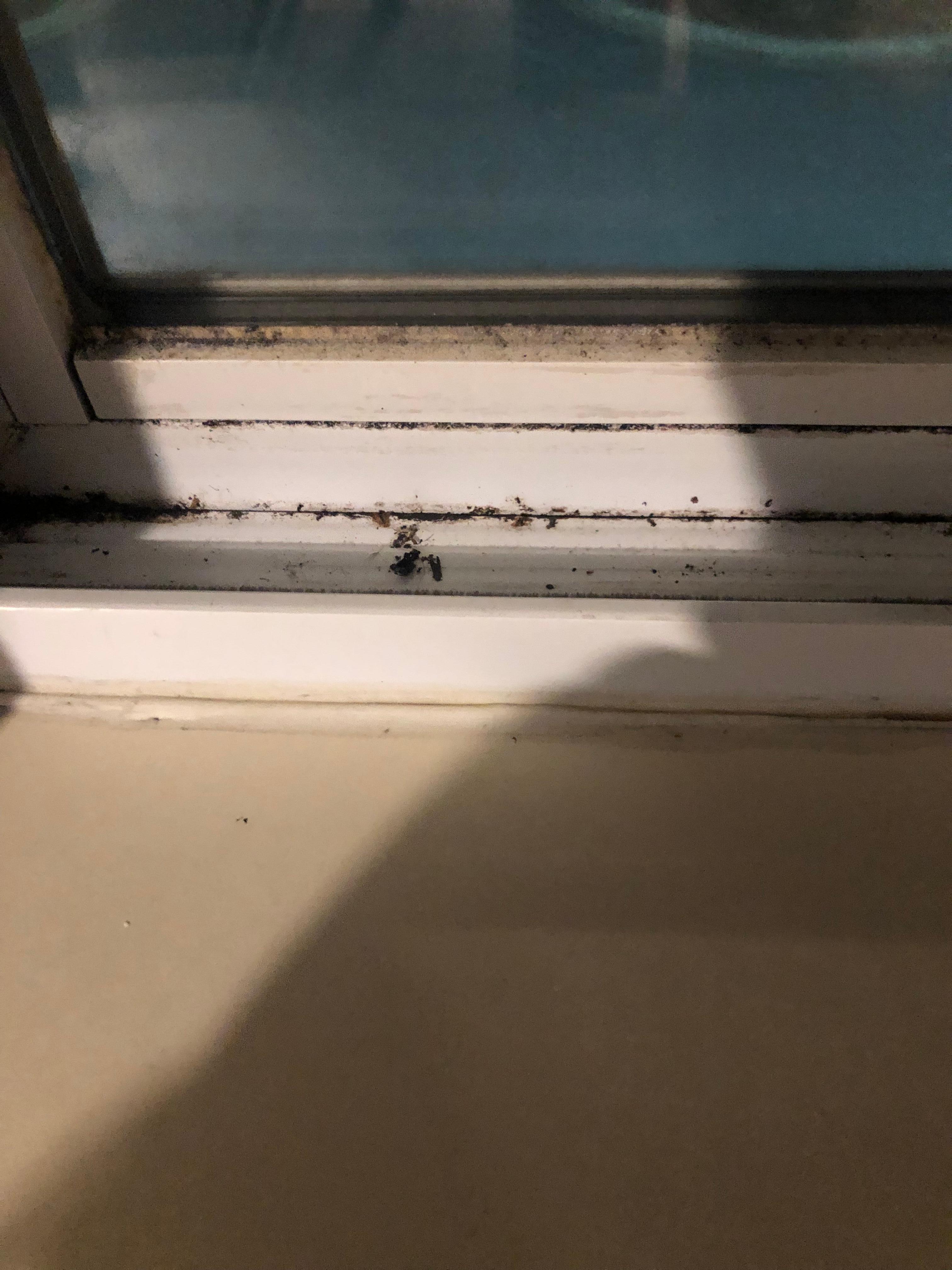 Window seal is filthy