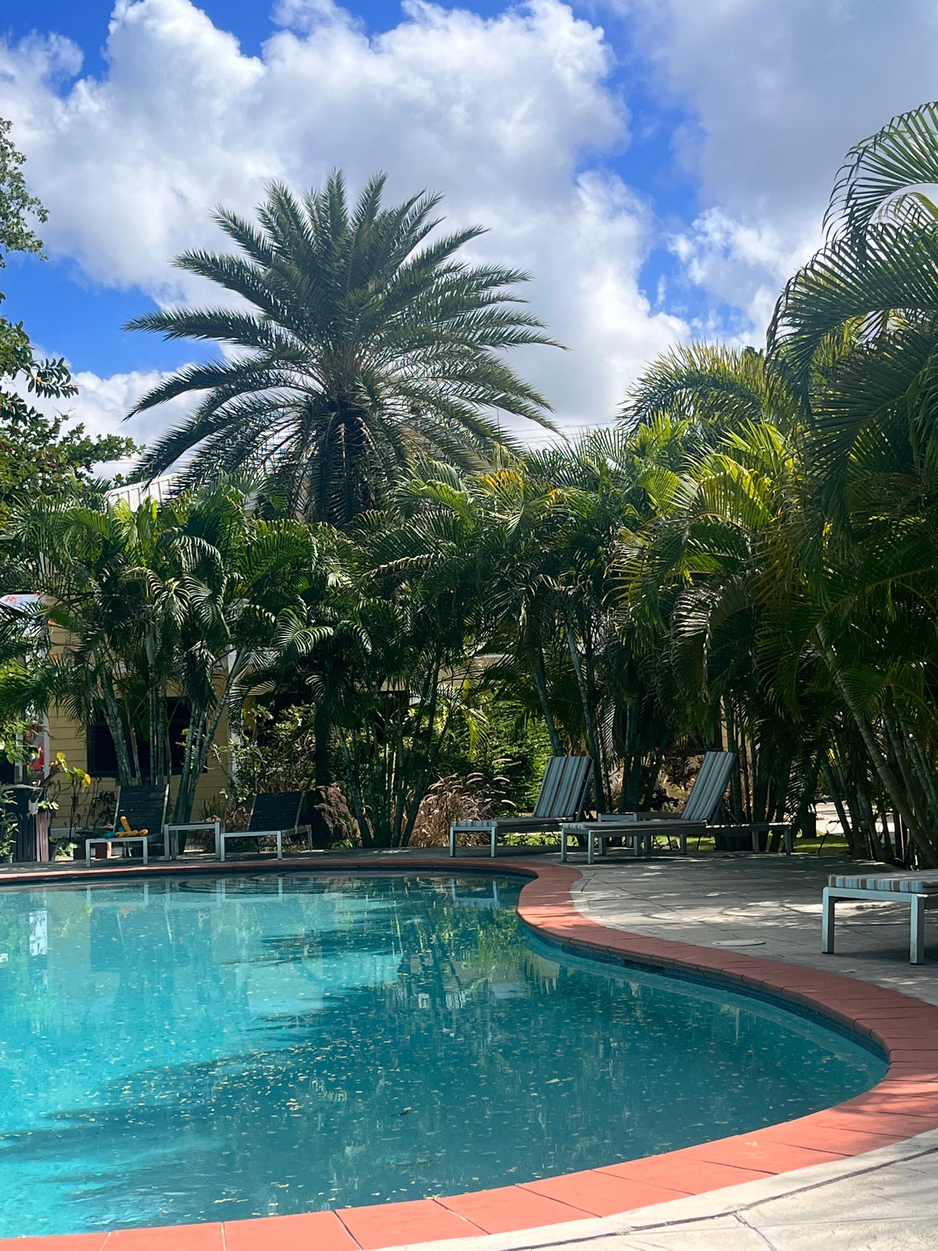 Pool is well maintained and refreshing!
