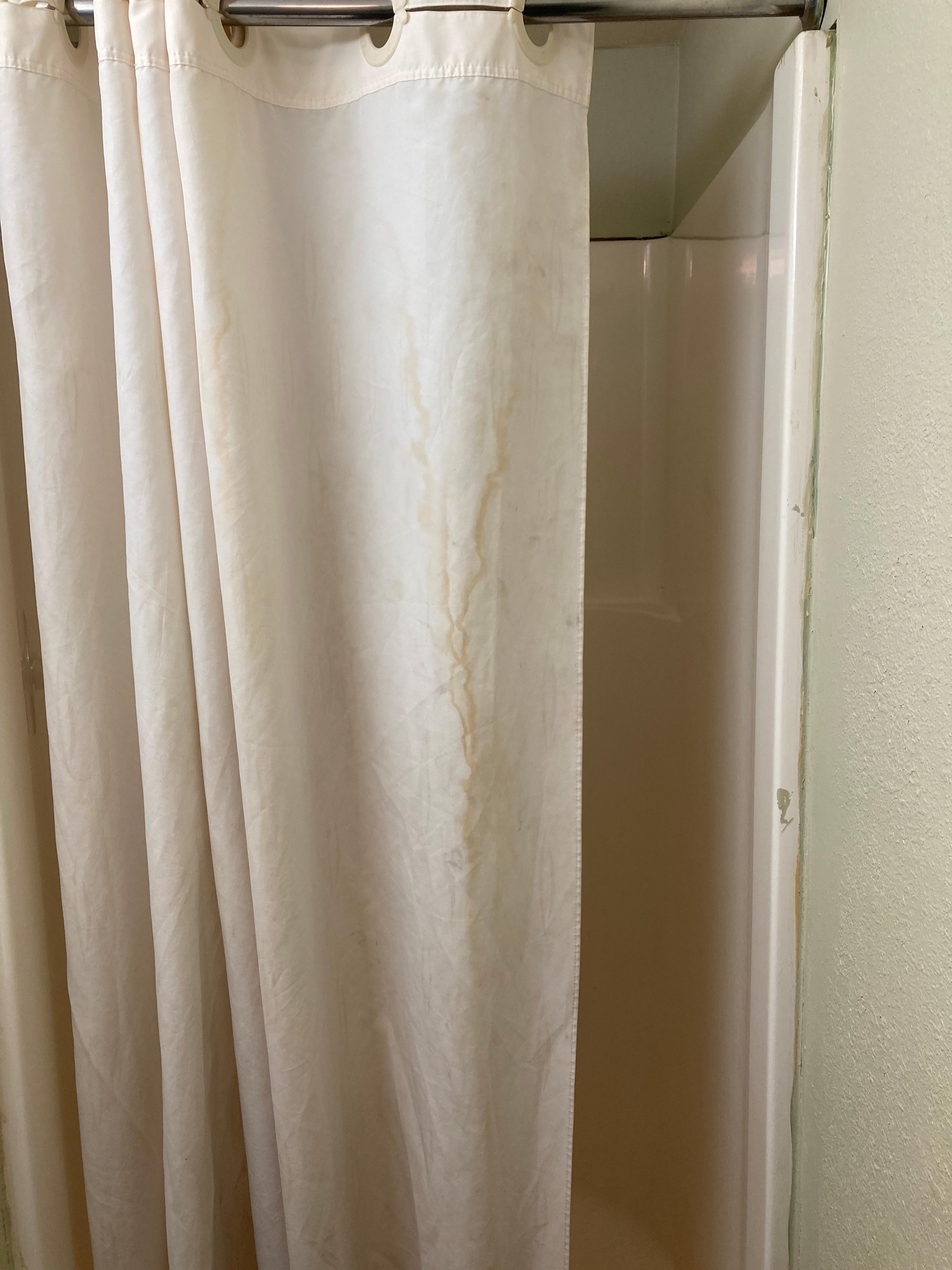 Dirty shower curtain 