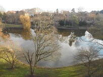 Vue sur le parc depuis la fenĂȘtre de la chambre