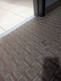 Several stains and/or rips in carpet