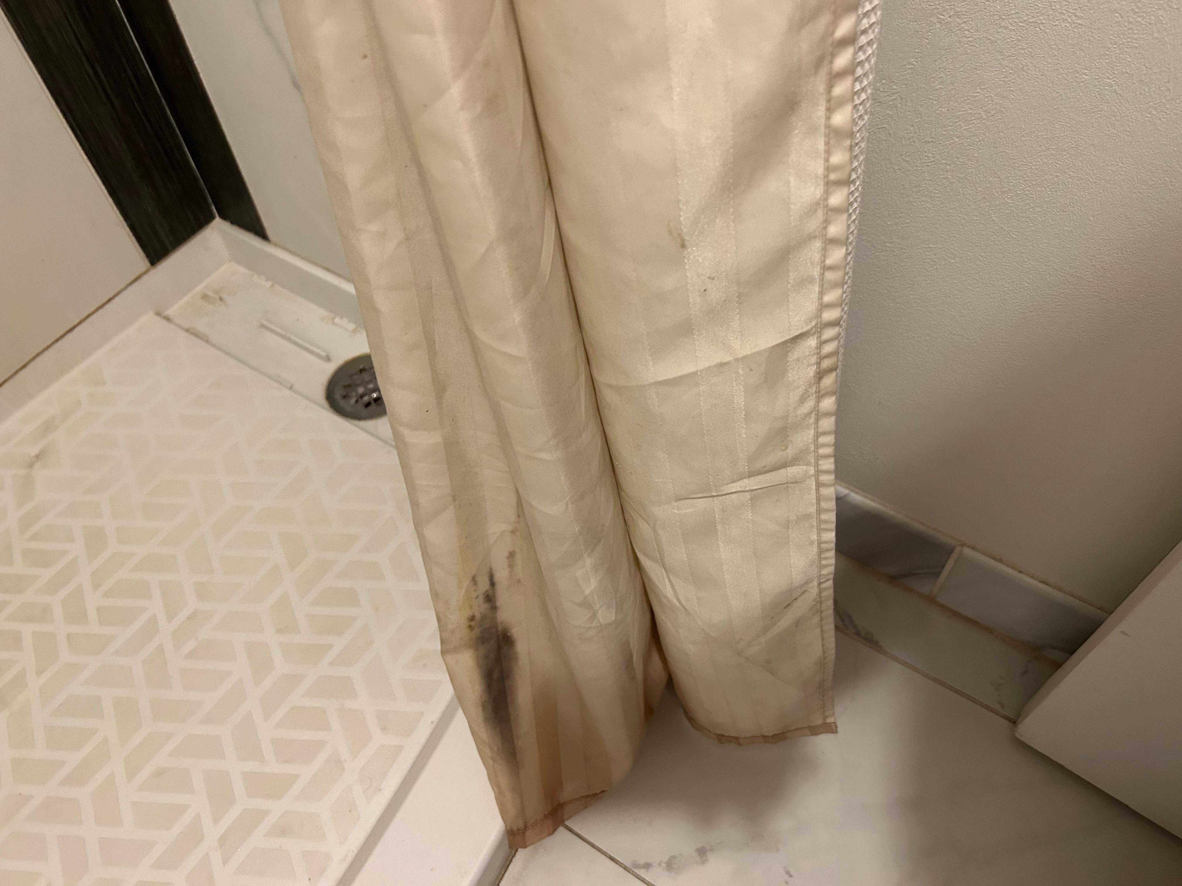 Moldy and mildewed shower curtain