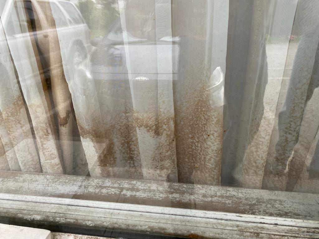 This isn't the window it's the curtains hanging in the front office.  Unacceptable conditions