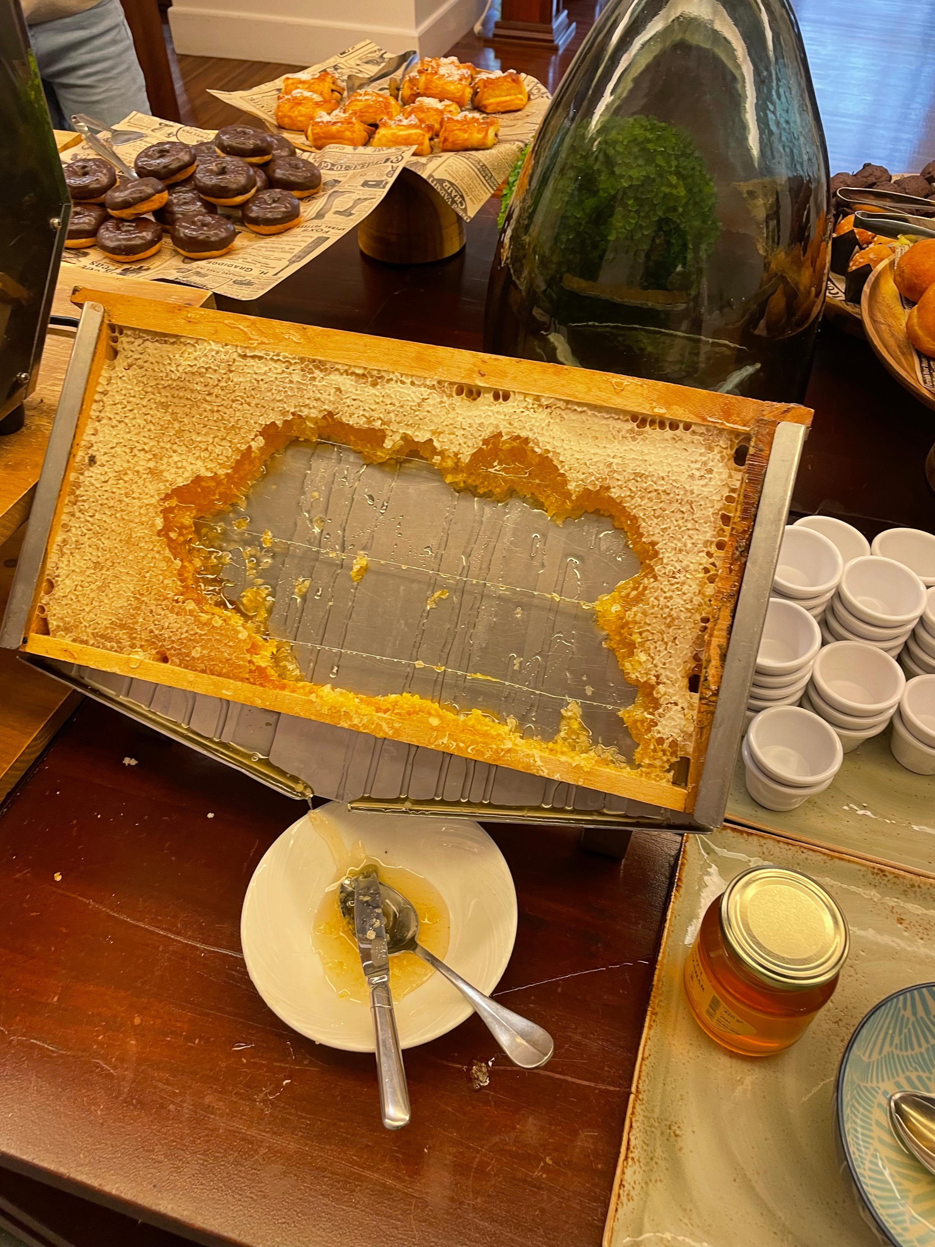 I’ve never seen a whole honeycomb for your breakfast pastry! It was outstanding.