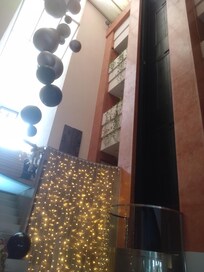 Hanging Feature in Reception.