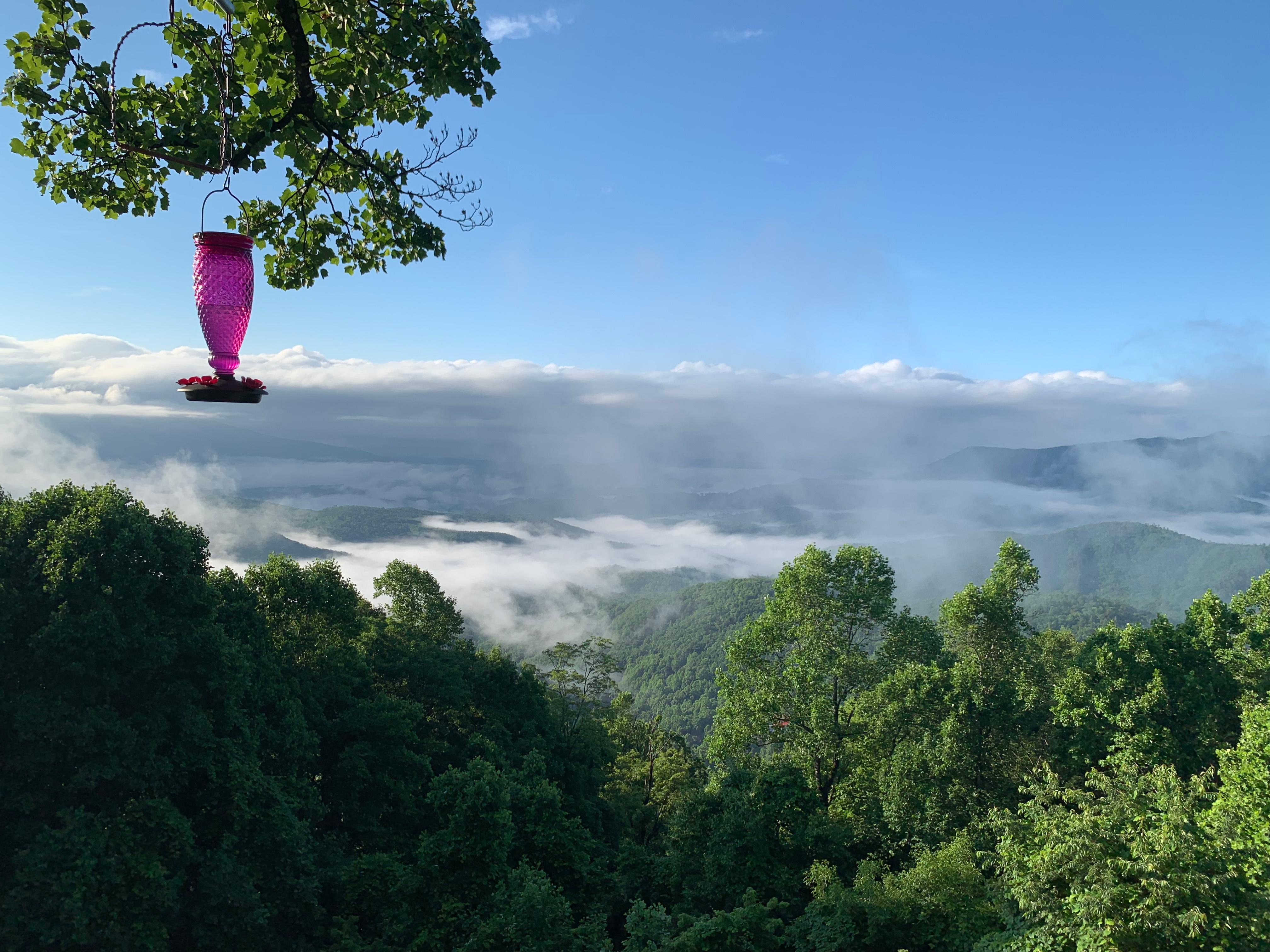 View from the hotel ‘restaurant’ balcony at breakfast.