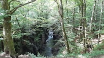 Mostnica Gorge
