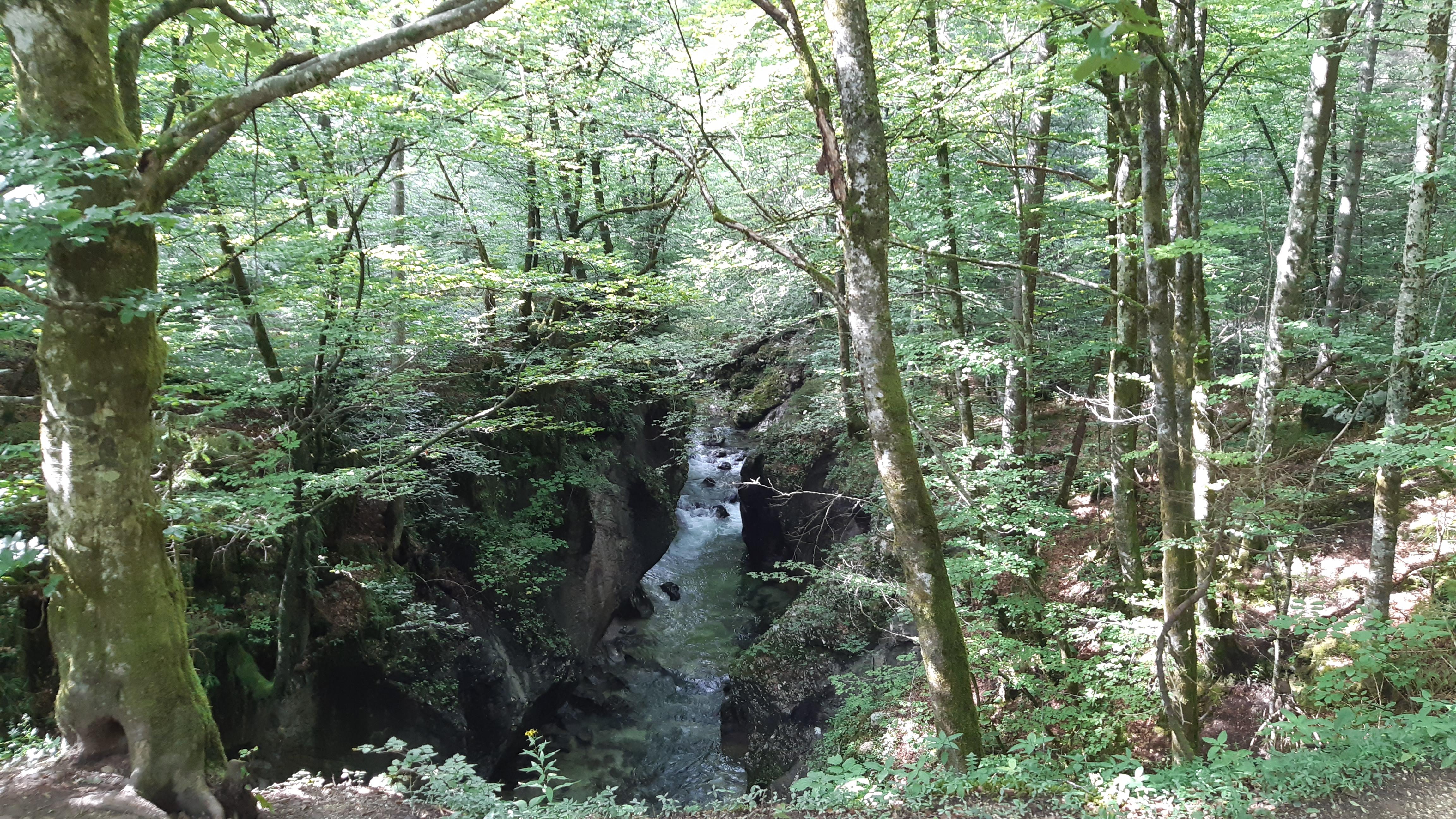 Mostnica Gorge