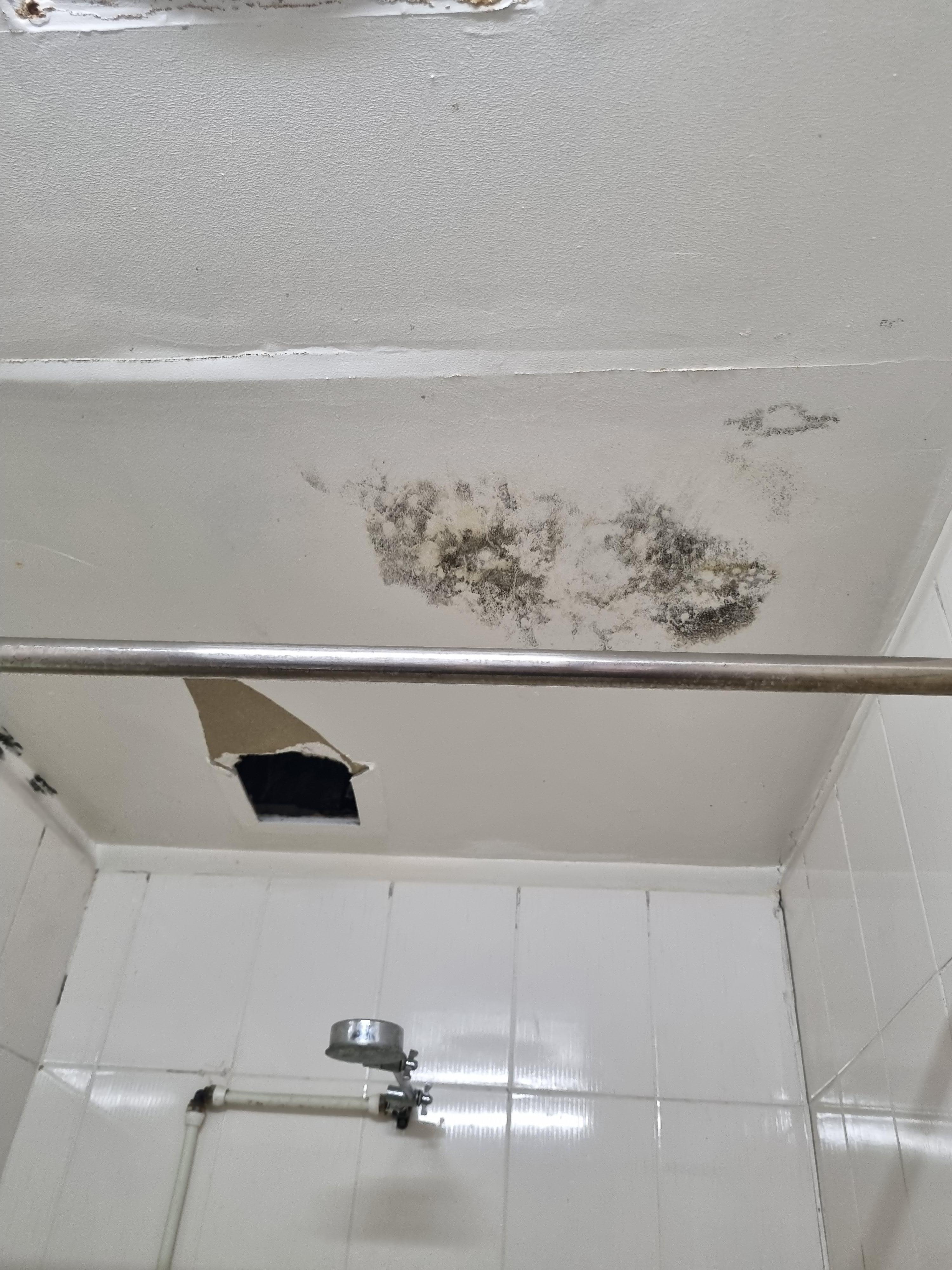 Mould on walls and hole in bathroom ceiling