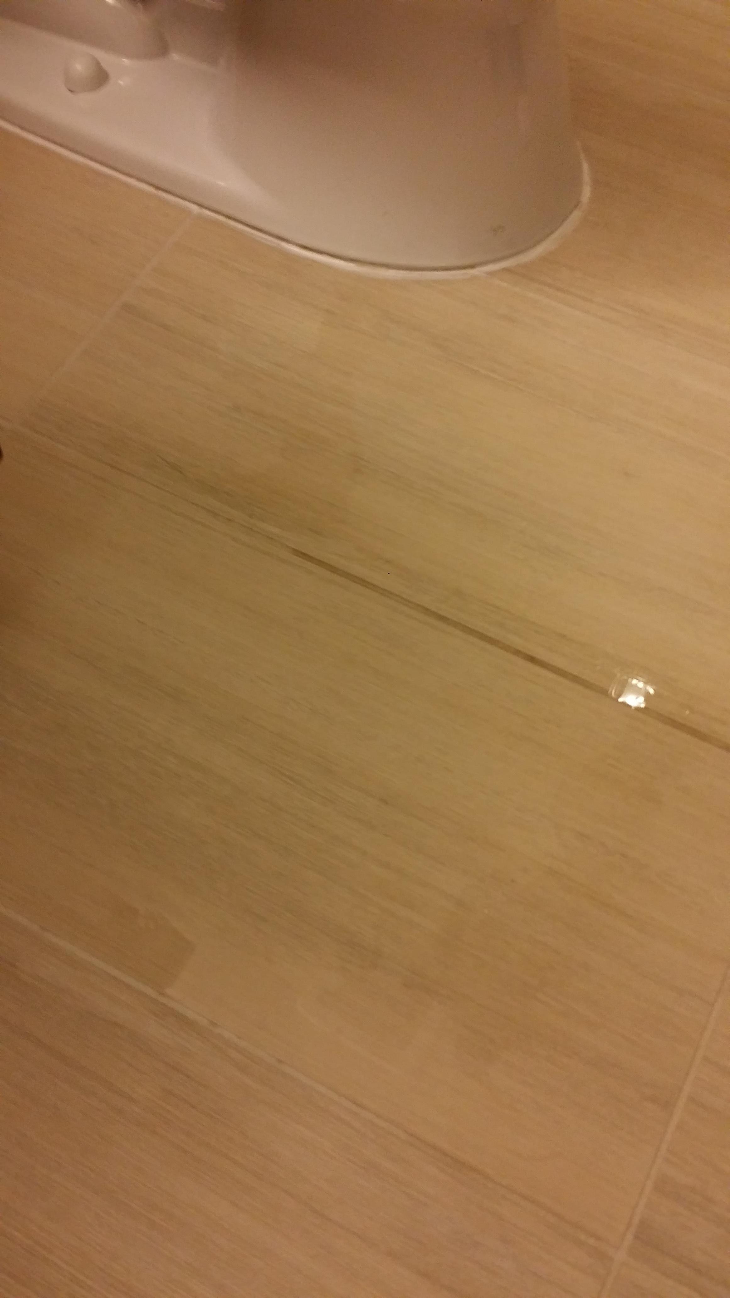 Leaky toilet flooded bathroom