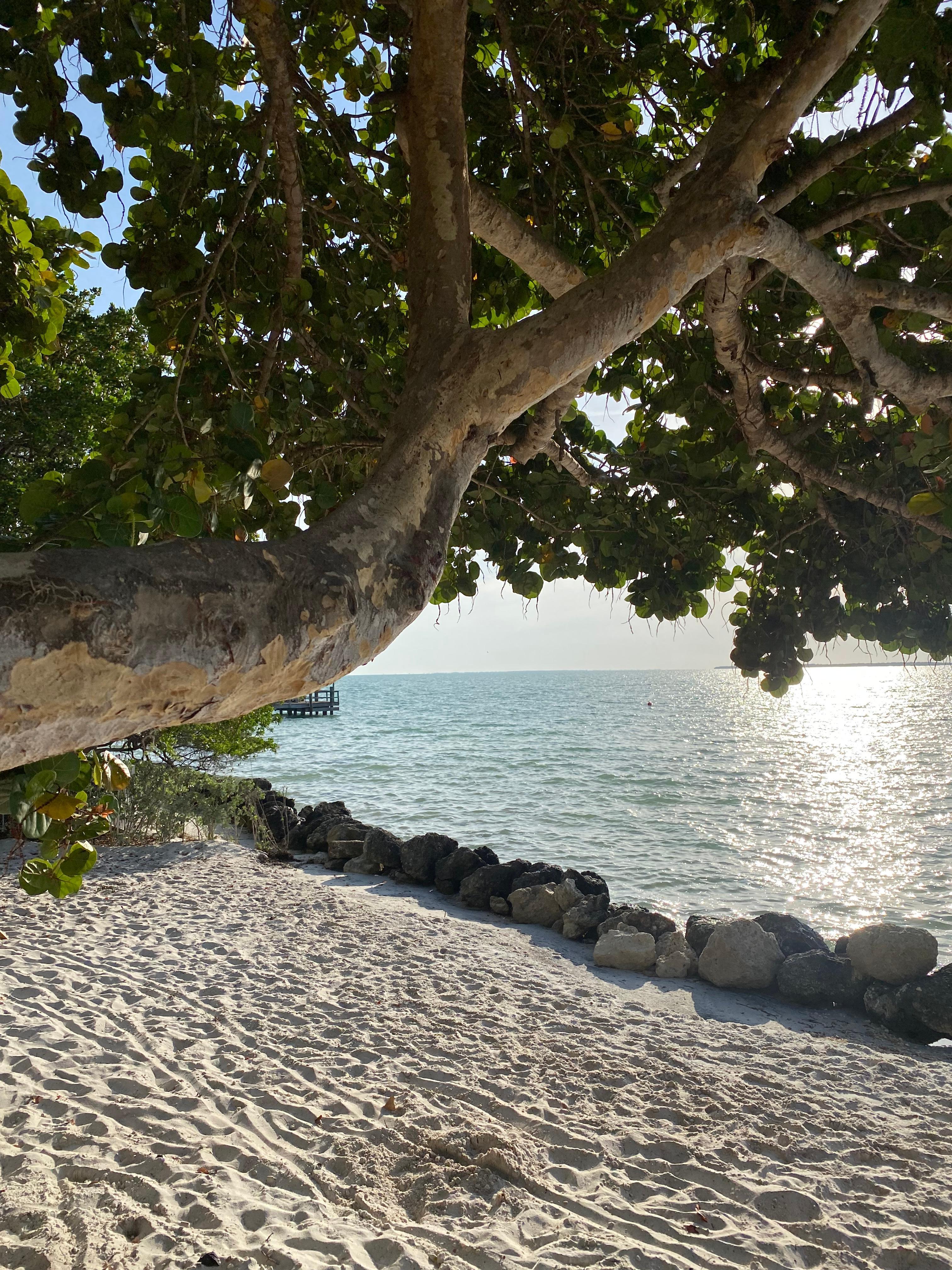 Paradise in Key Largo
