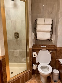 Family Room Bathroom