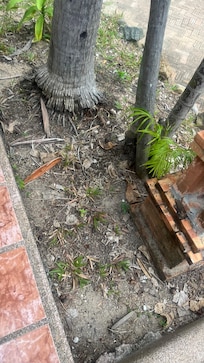 Die Beete vor dem Haus