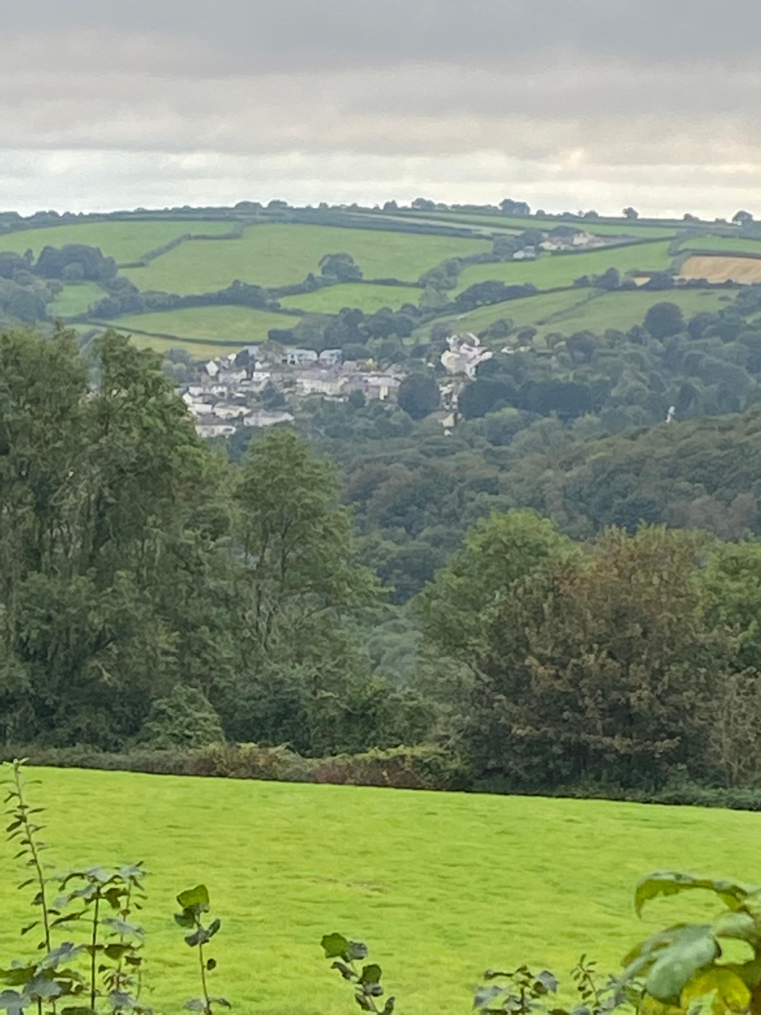 View from private rear garden 