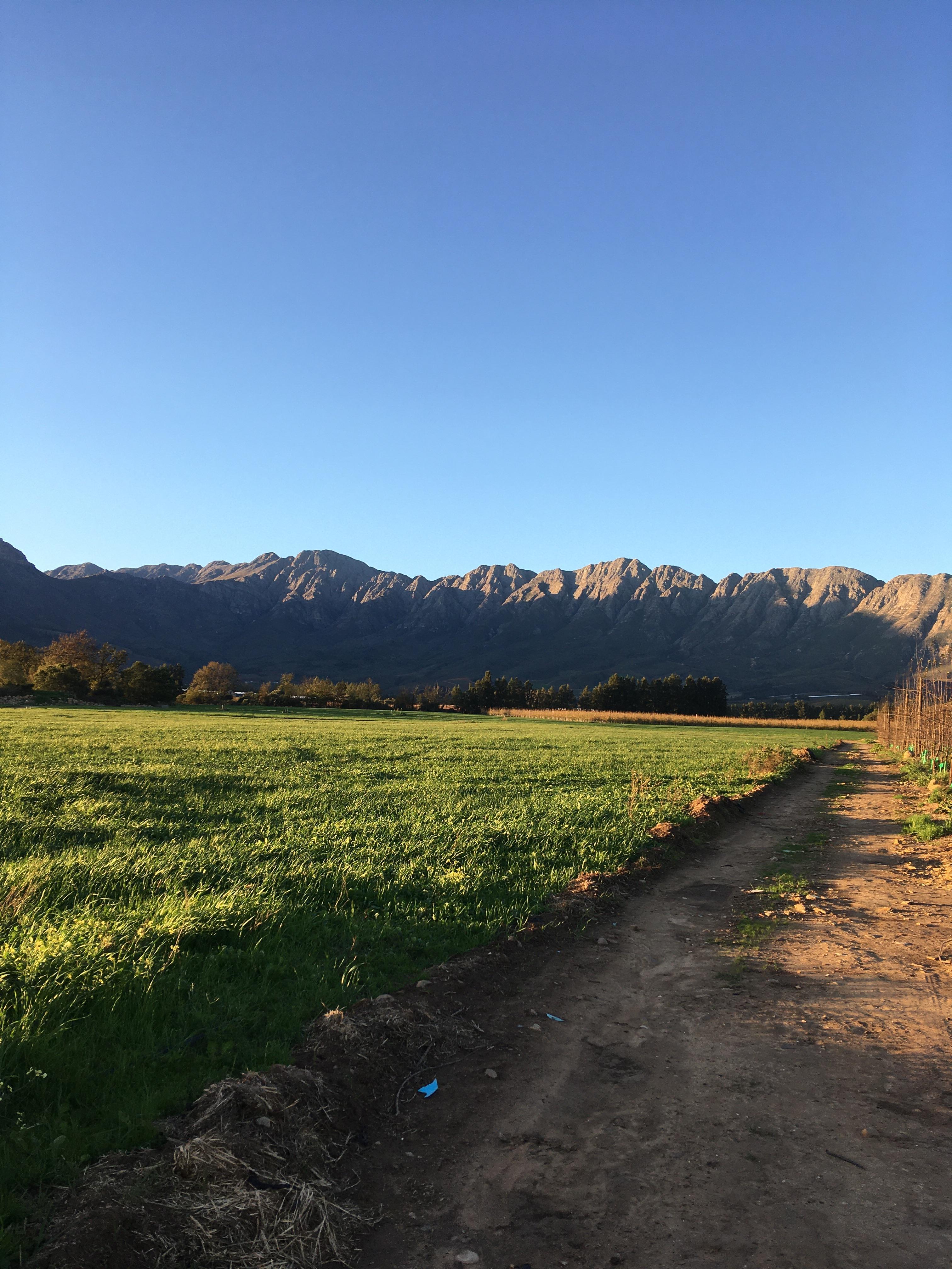 Walks on the farm