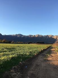 Walks on the farm