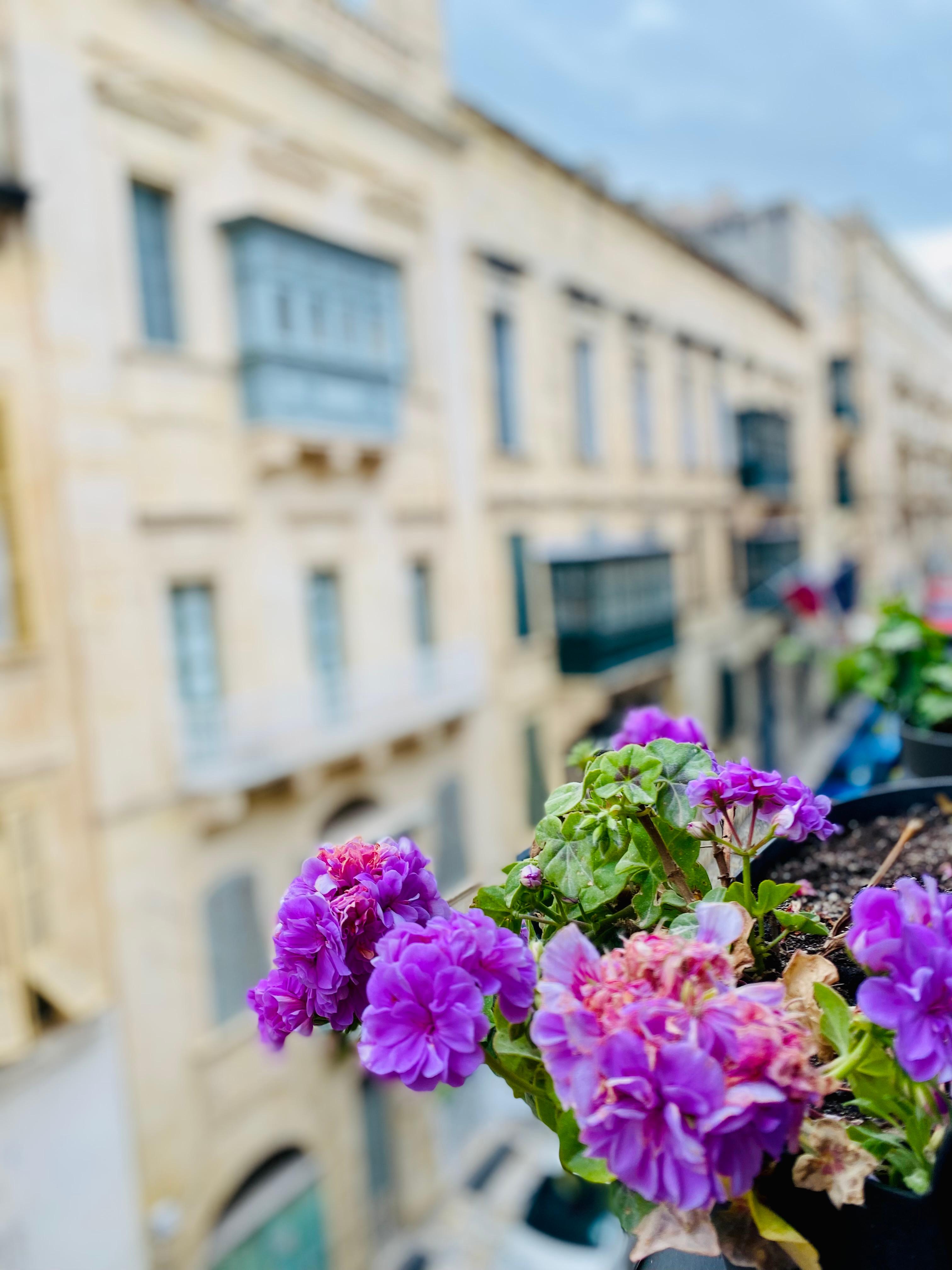 Vue du balcon