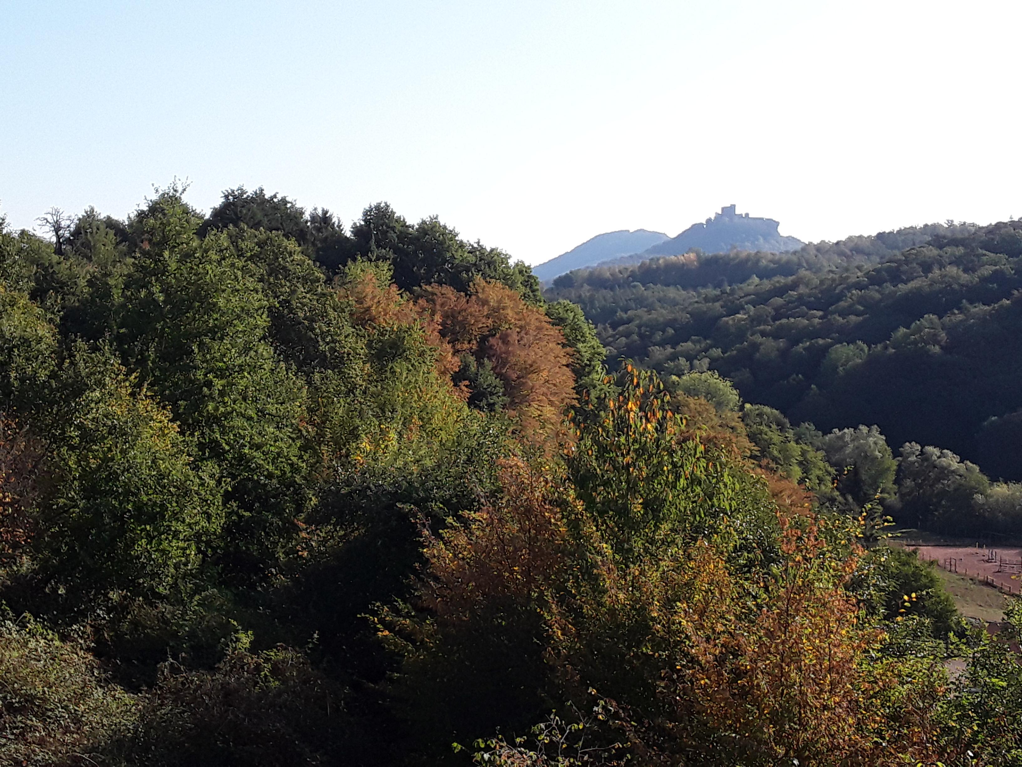 Blick vom Zimmerfenster auf die Burg Trifels