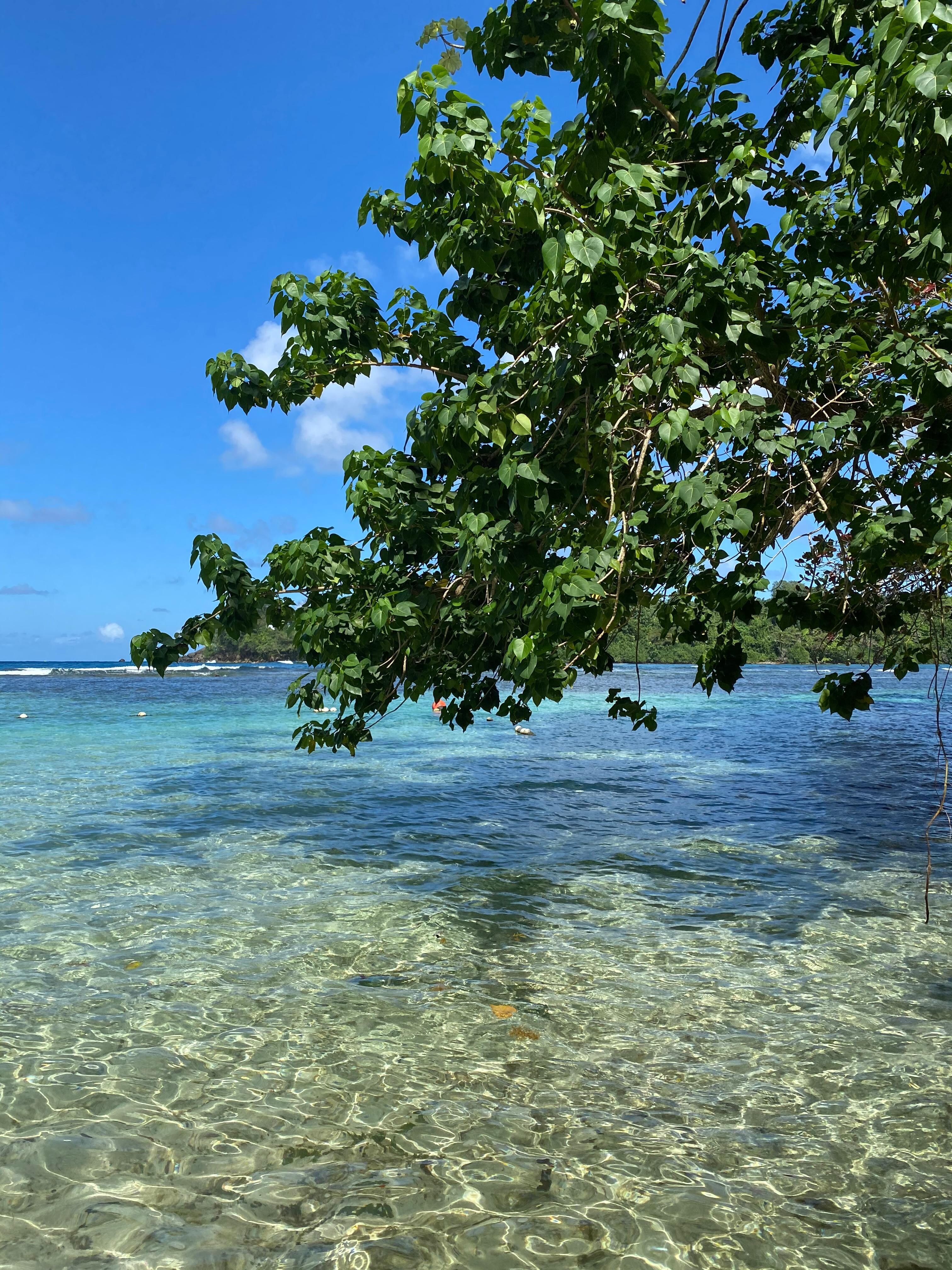 Private beach