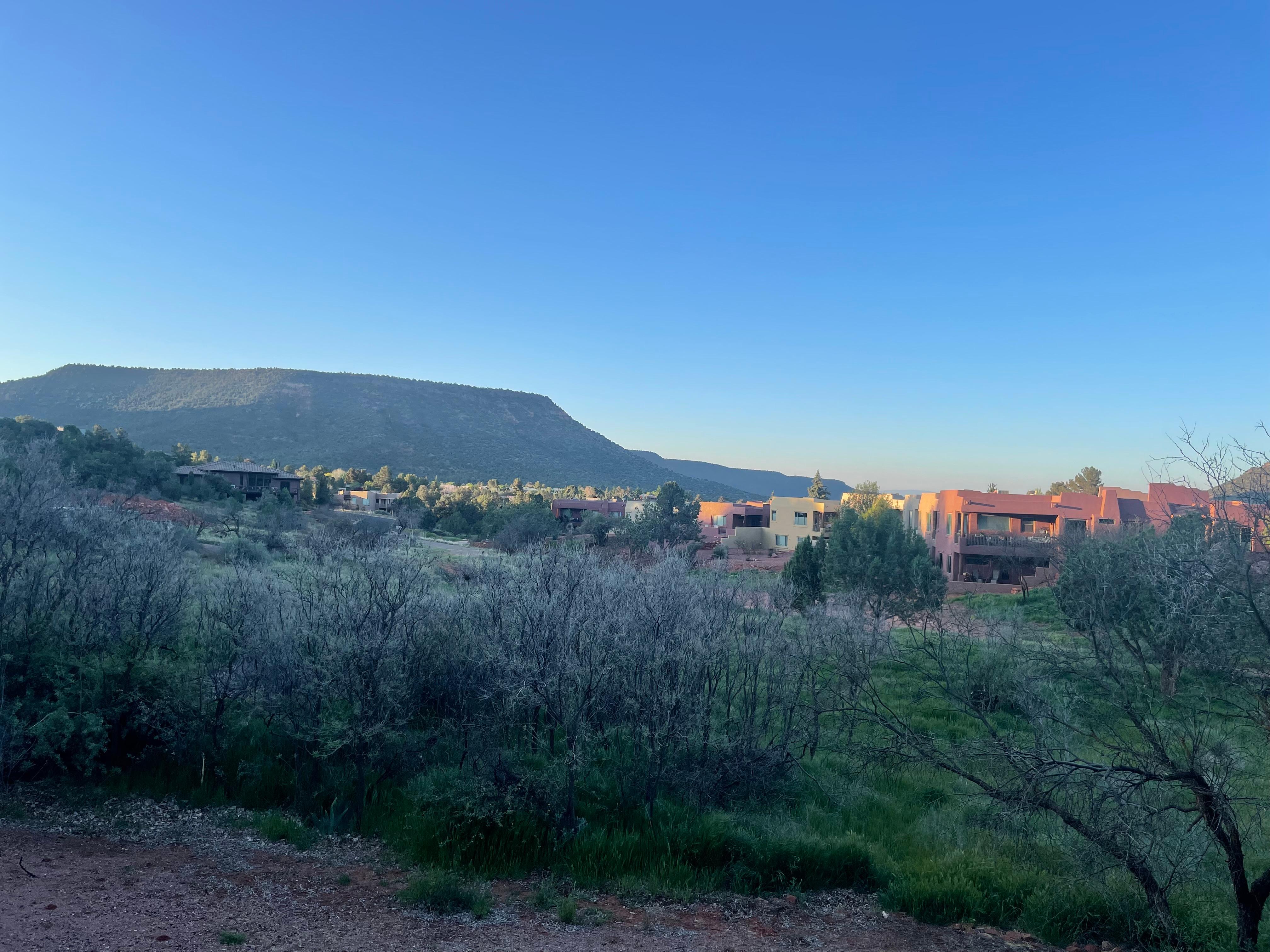 View from the back porch over the wash/game trail.