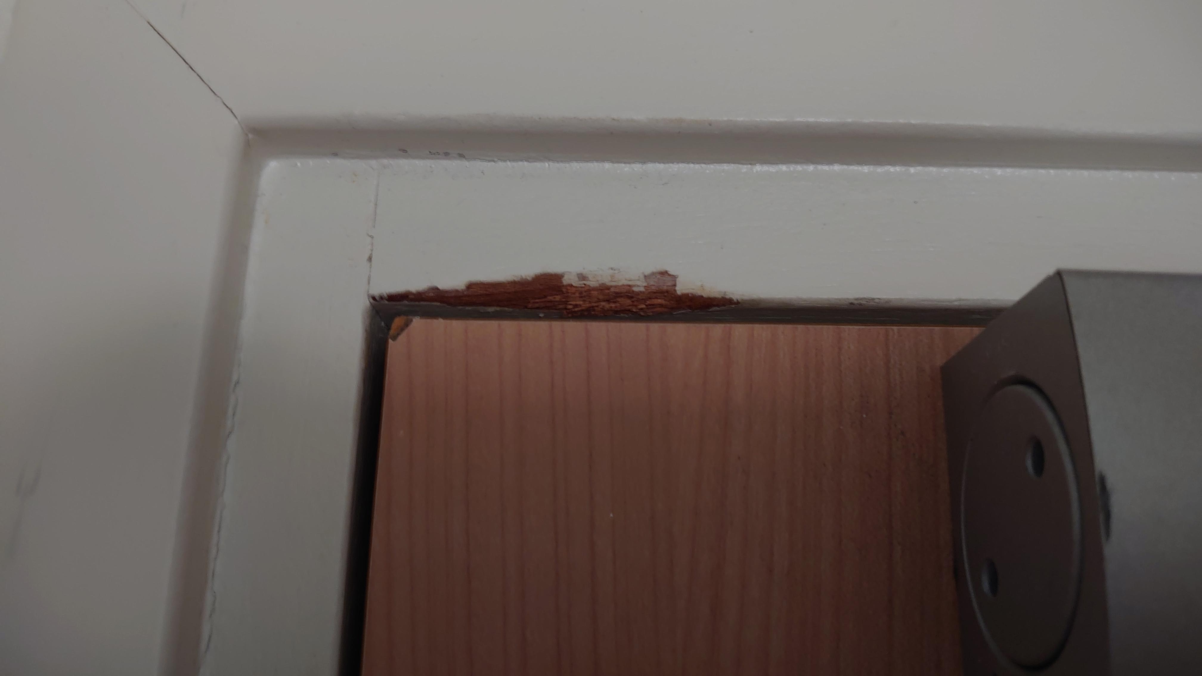 WC prosi o zwrócenie na siebie uwagi