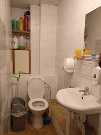 Toilet 2 of 2, which doubles as a storage cupboard.