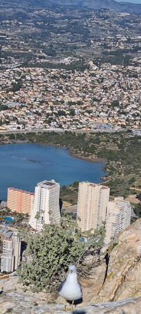 RH Ifach seen from the top of the Calpe cliff.