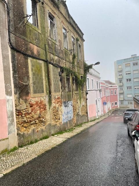 The street