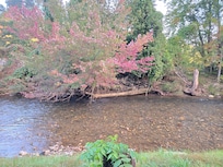 View out the rear window.