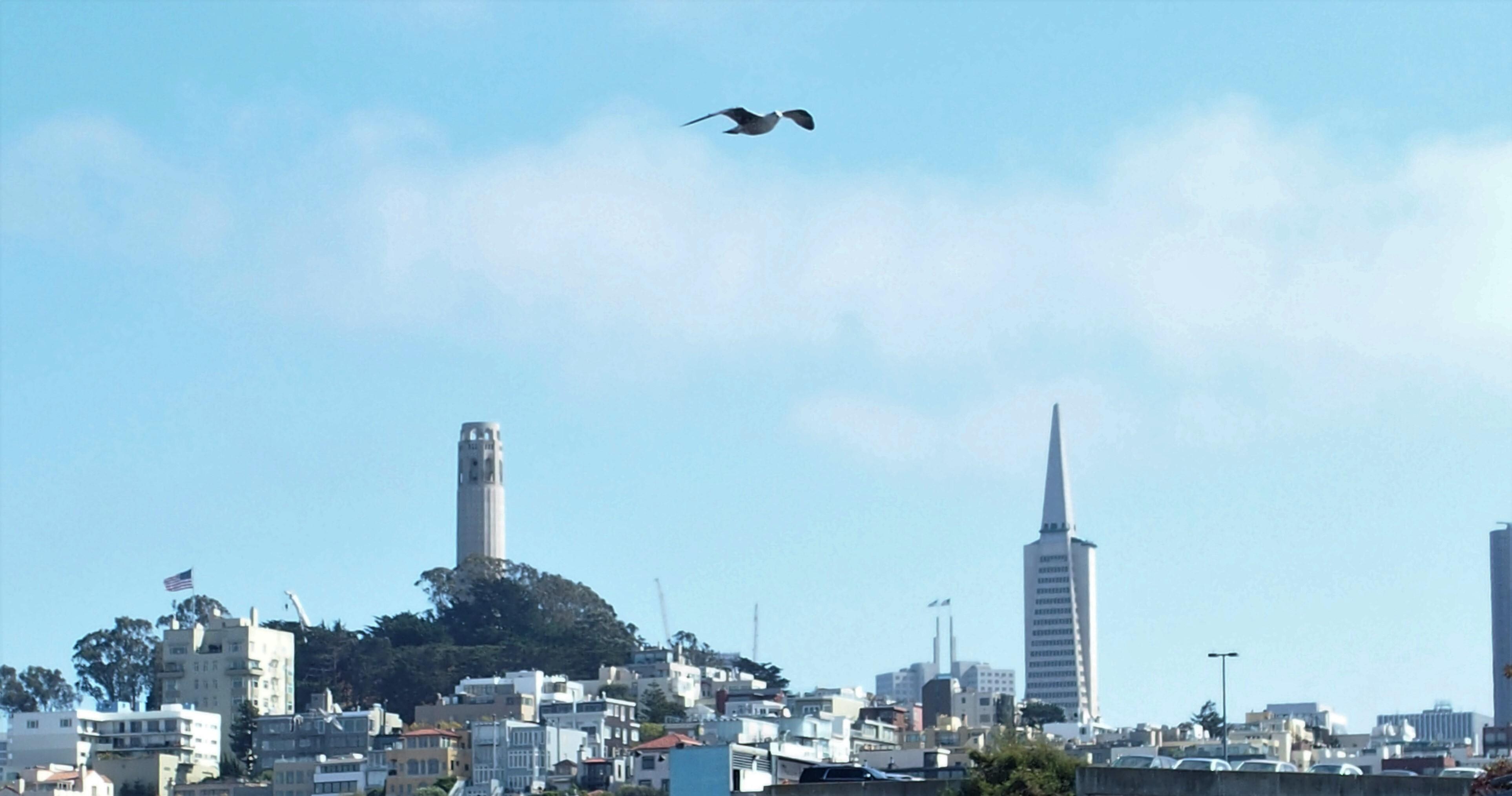 bldg with 2 flags is Lowes Regency. Photo taken from Pier 39.
