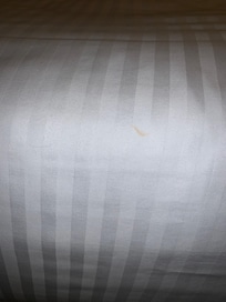 Flecken und Haare auf der Bettwäsche