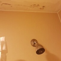 Schimmel über Dusche