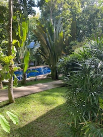 Nice pool area
