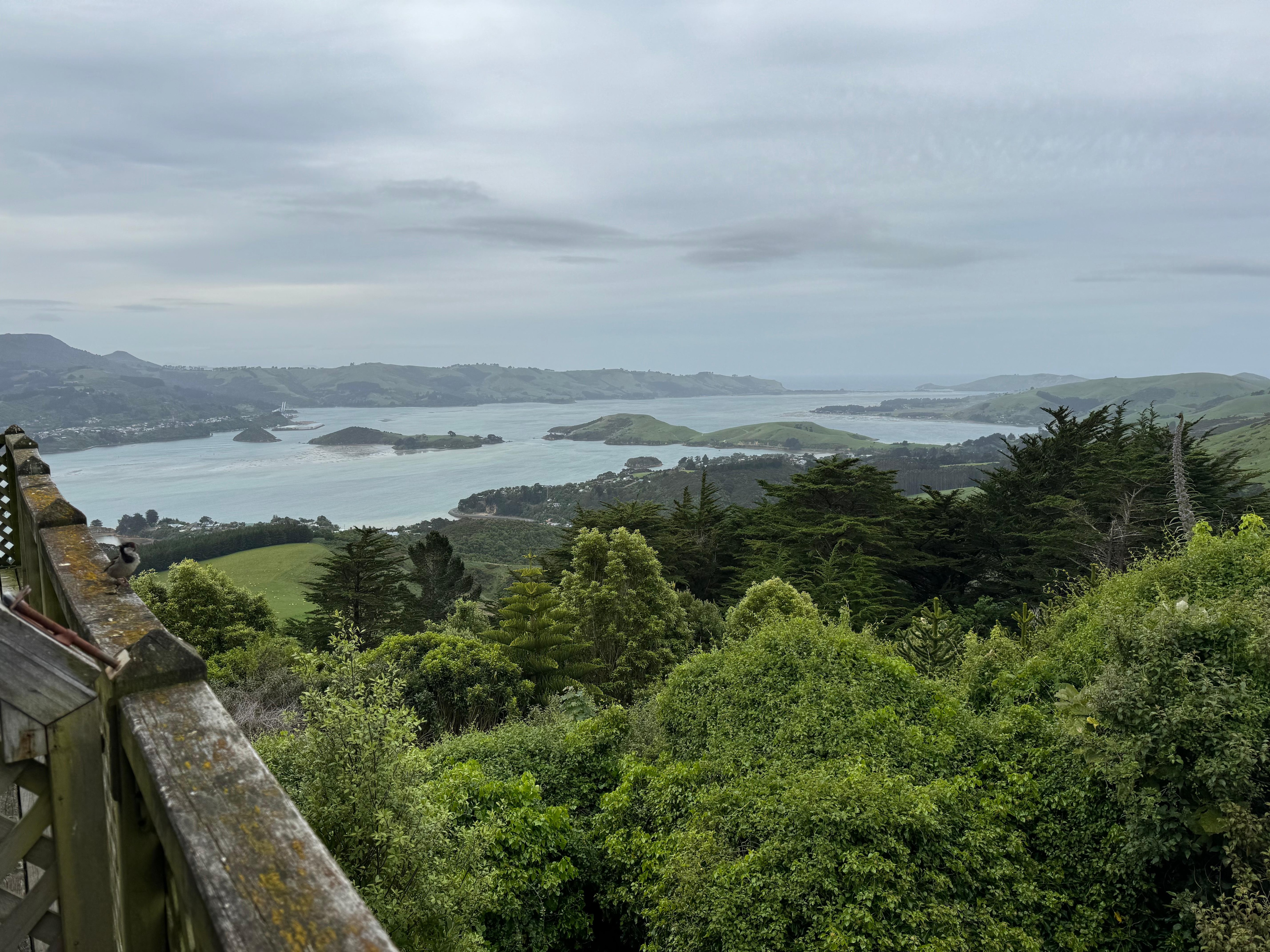 View from the balcony