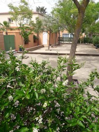 Terrain de boule sui touche presque le mobil home