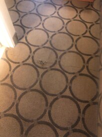 Carpet :(