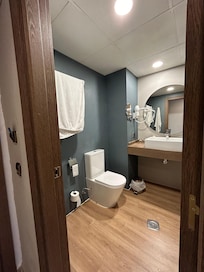 The bathroom