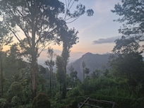 View from balcony