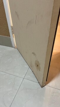 Bathroom door