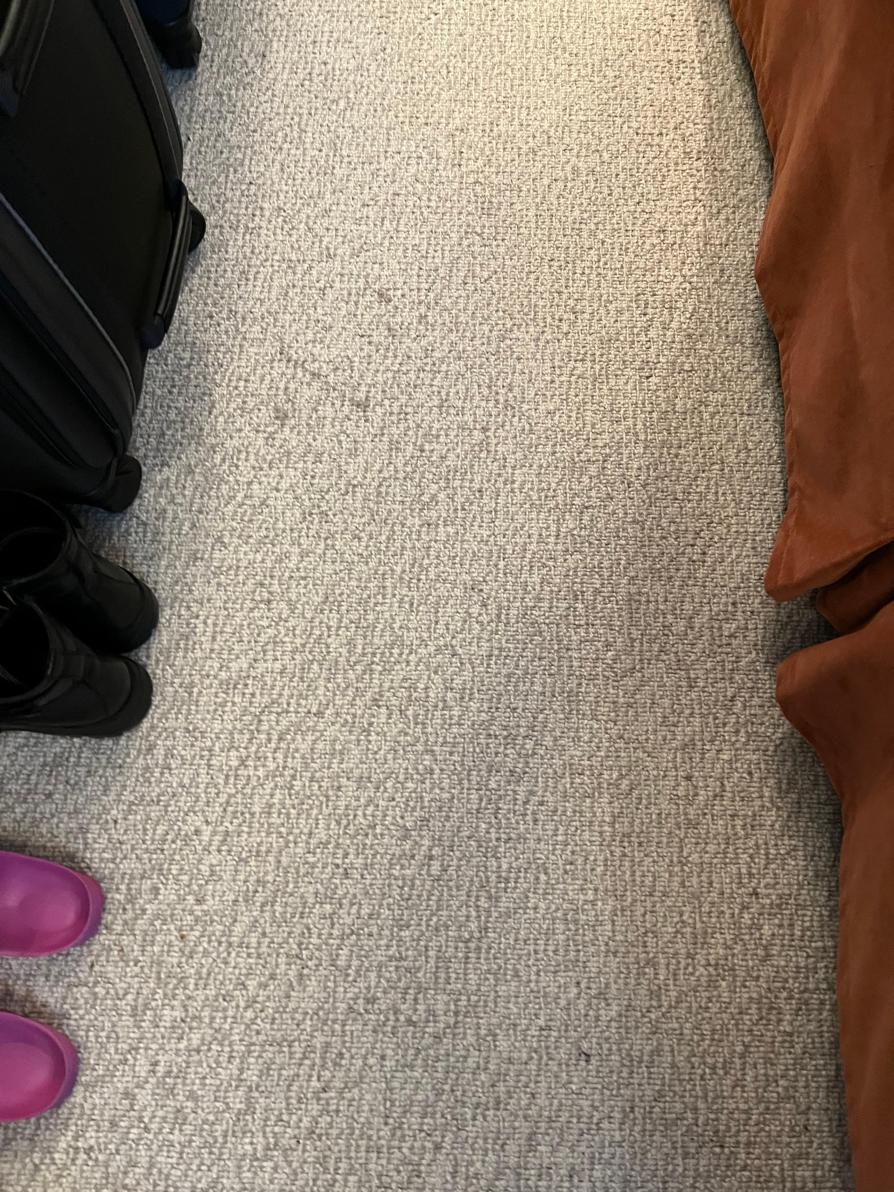 Stains on carpet