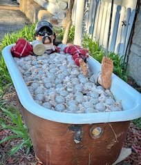 The grounds were clean and offered relaxing and whimsical touches, the owners followed up with you and very helpful.