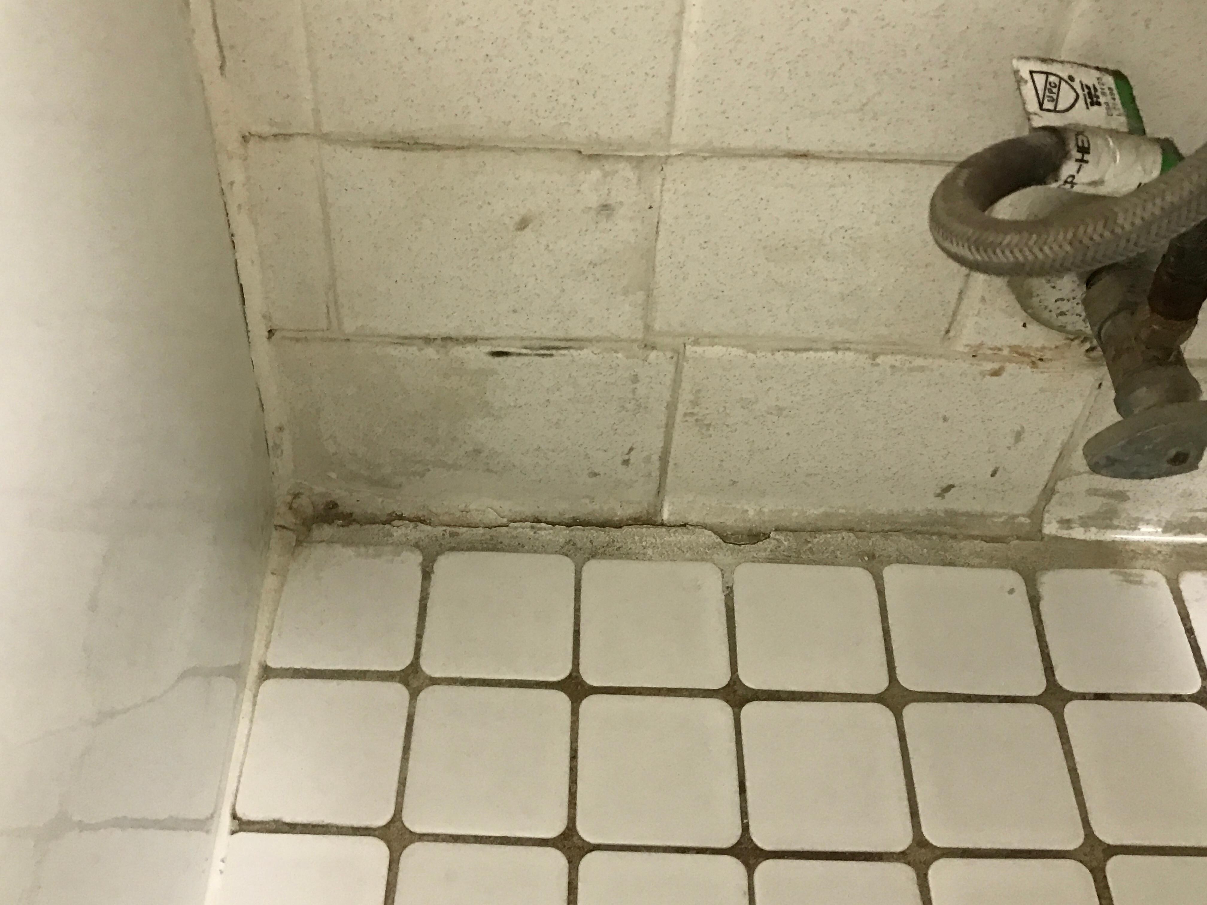 Mold