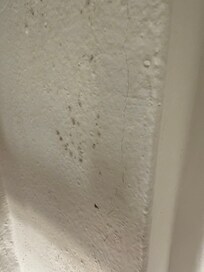Molde in the bathroom ceiling