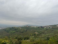Views