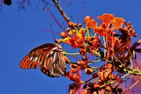 Los jardines son super bellos y llenos de vida
